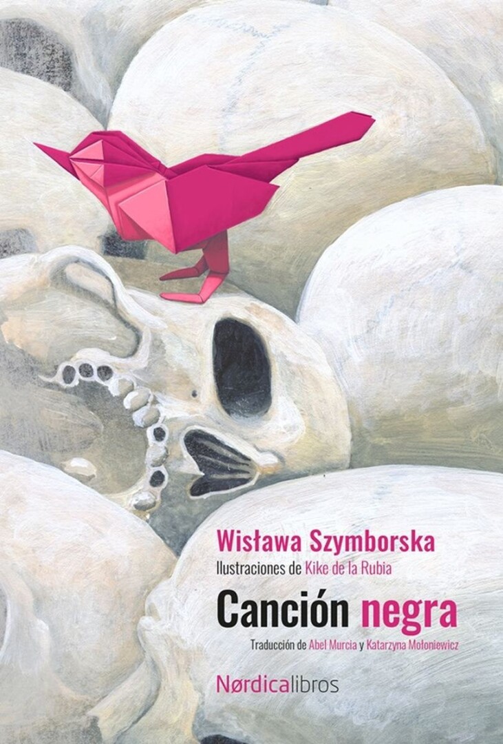 CANCIÓN NEGRA