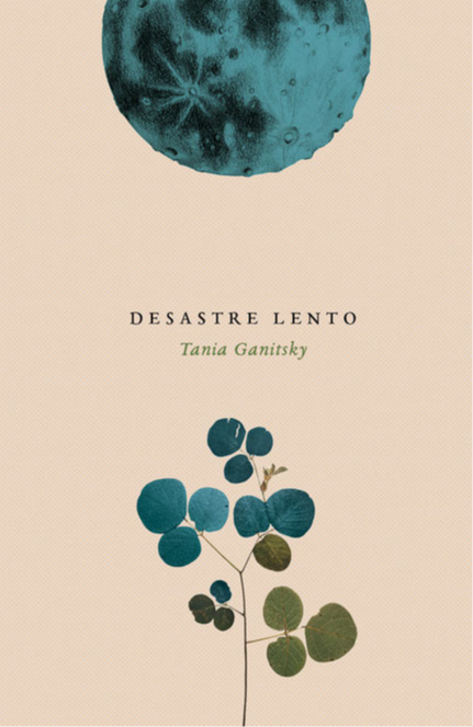 DESASTRE LENTO